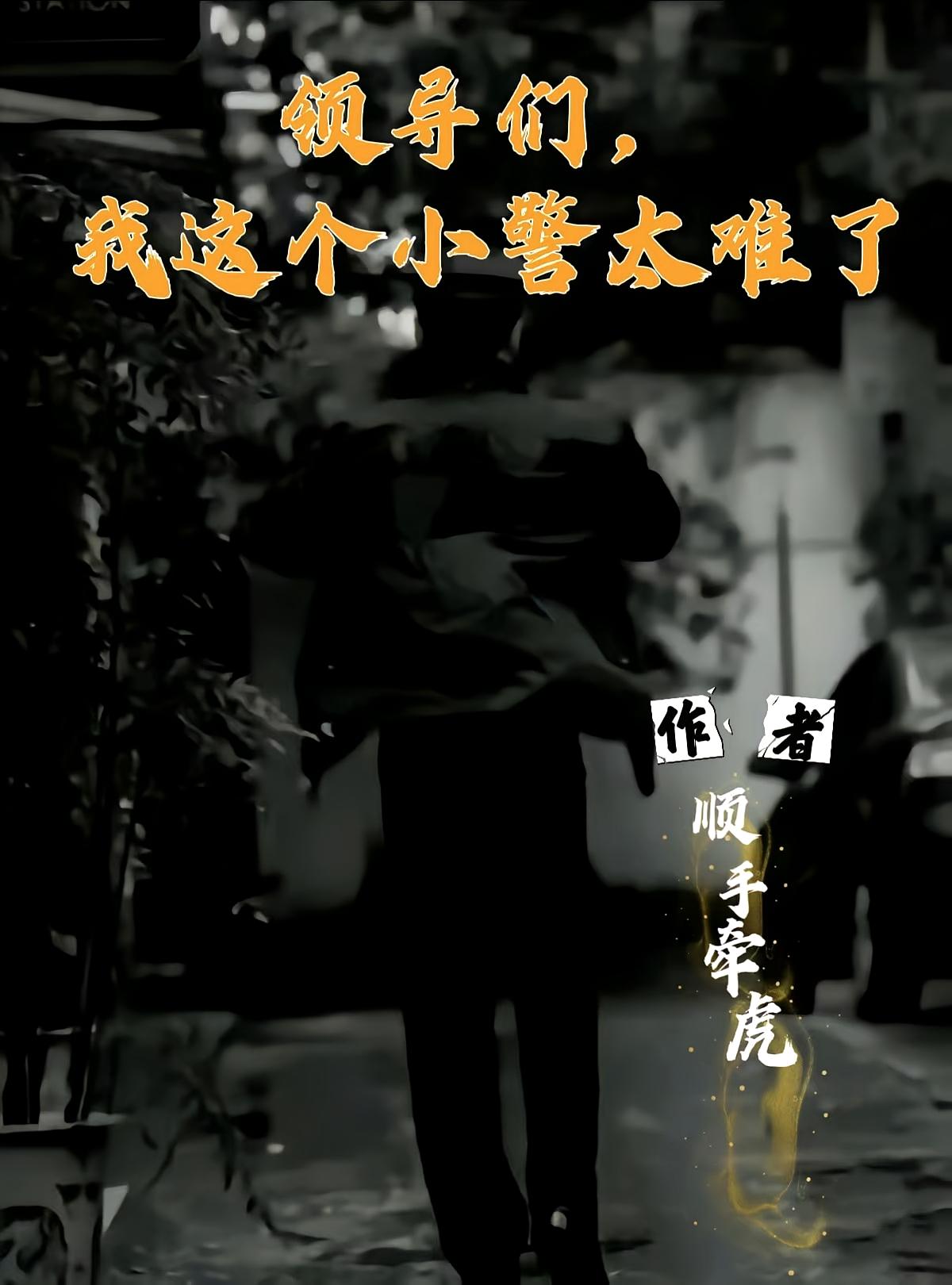 领导们，我这个小警太难了