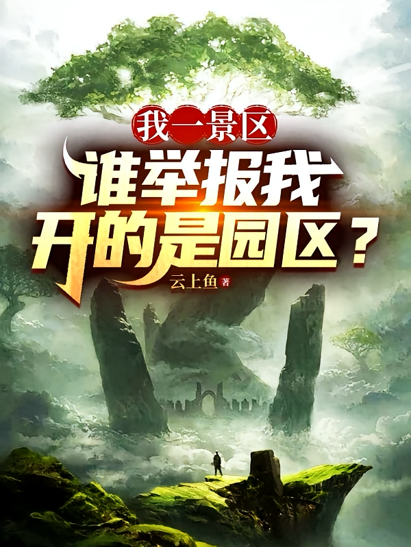 我一景区，谁举报我开的是园区？