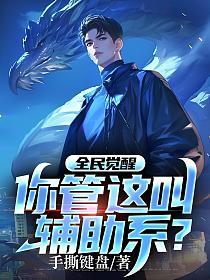 全民觉醒：你管这叫辅助系？